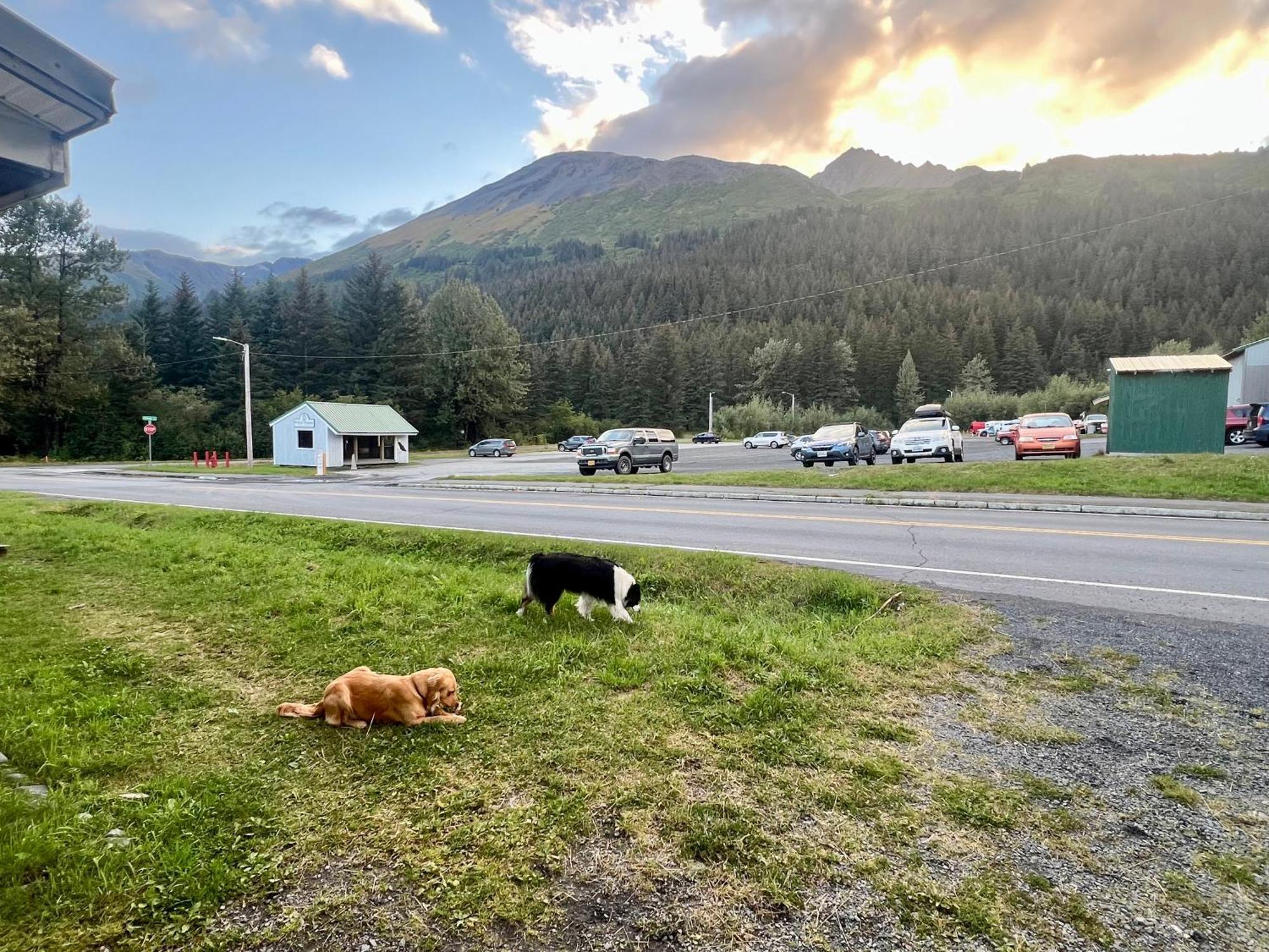 Marina Motel Seward Exterior photo